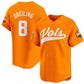 T.Volunteers #8 Dylan Dreiling Orange 2024 Champions Vapor Limited Baseball Stitched American College Jerseys